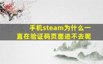 手机steam为什么一直在验证码页面进不去呢