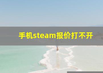 手机steam报价打不开