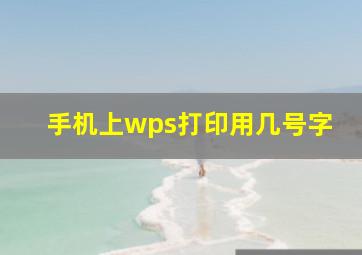 手机上wps打印用几号字