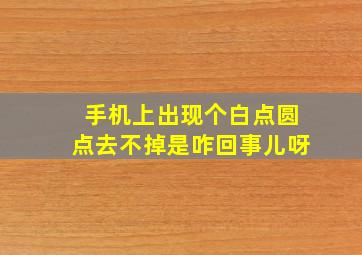 手机上出现个白点圆点去不掉是咋回事儿呀