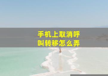 手机上取消呼叫转移怎么弄