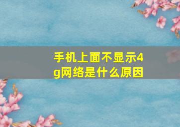 手机上面不显示4g网络是什么原因