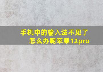 手机中的输入法不见了怎么办呢苹果12pro