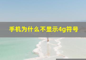 手机为什么不显示4g符号