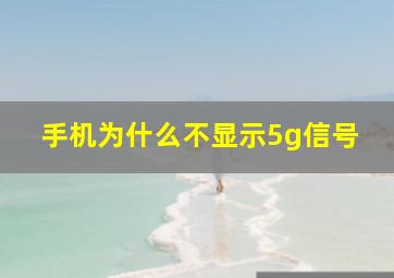 手机为什么不显示5g信号