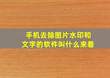 手机去除图片水印和文字的软件叫什么来着