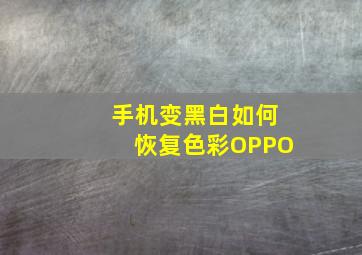 手机变黑白如何恢复色彩OPPO