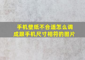 手机壁纸不合适怎么调成跟手机尺寸相符的图片