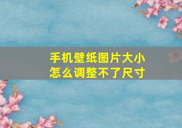 手机壁纸图片大小怎么调整不了尺寸