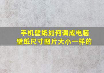 手机壁纸如何调成电脑壁纸尺寸图片大小一样的