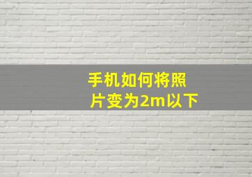 手机如何将照片变为2m以下