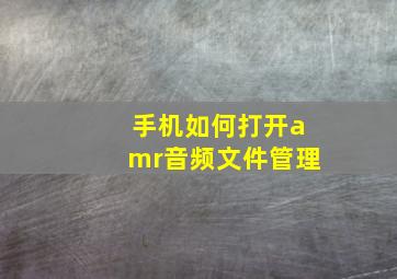 手机如何打开amr音频文件管理