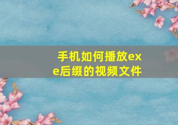 手机如何播放exe后缀的视频文件