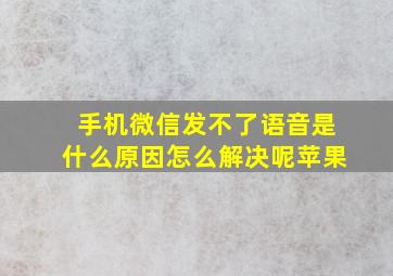 手机微信发不了语音是什么原因怎么解决呢苹果