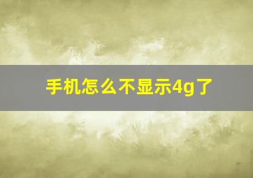 手机怎么不显示4g了