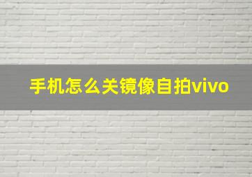 手机怎么关镜像自拍vivo