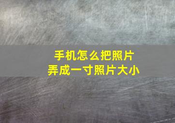 手机怎么把照片弄成一寸照片大小