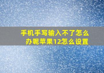 手机手写输入不了怎么办呢苹果12怎么设置