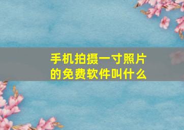 手机拍摄一寸照片的免费软件叫什么