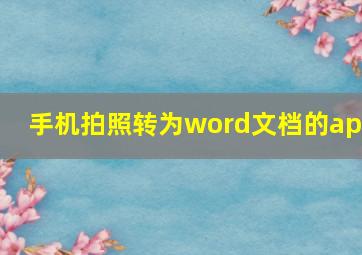 手机拍照转为word文档的app