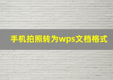 手机拍照转为wps文档格式