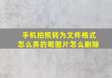 手机拍照转为文件格式怎么弄的呢图片怎么删除