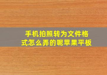 手机拍照转为文件格式怎么弄的呢苹果平板