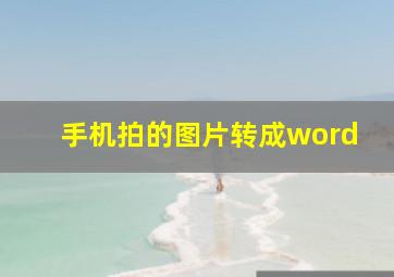 手机拍的图片转成word