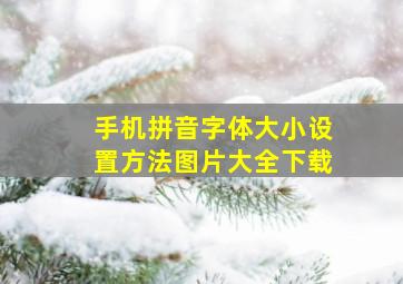 手机拼音字体大小设置方法图片大全下载