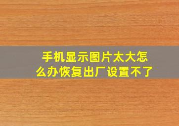 手机显示图片太大怎么办恢复出厂设置不了