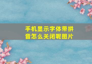 手机显示字体带拼音怎么关闭呢图片