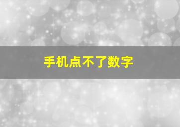 手机点不了数字