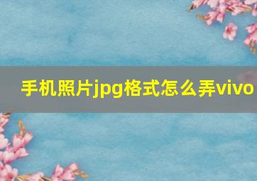 手机照片jpg格式怎么弄vivo