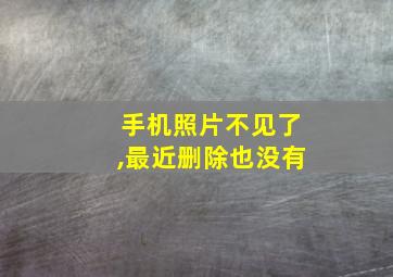 手机照片不见了,最近删除也没有