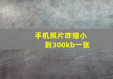 手机照片咋缩小到300kb一张