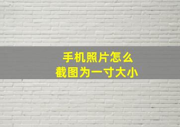 手机照片怎么截图为一寸大小