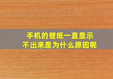 手机的壁纸一直显示不出来是为什么原因呢