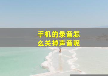 手机的录音怎么关掉声音呢