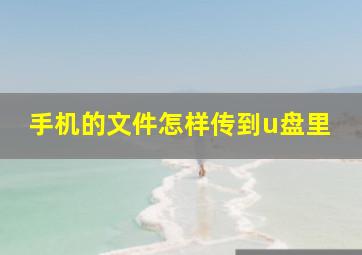 手机的文件怎样传到u盘里