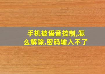 手机被语音控制,怎么解除,密码输入不了