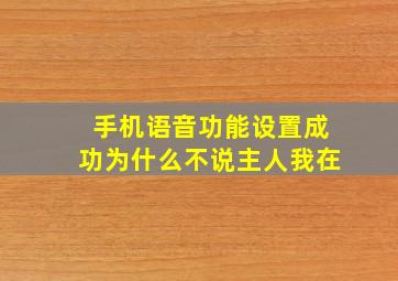 手机语音功能设置成功为什么不说主人我在