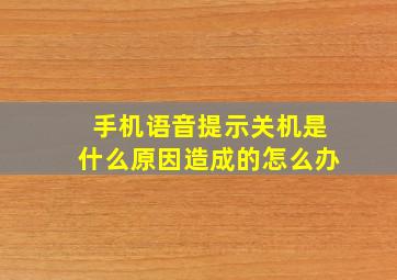 手机语音提示关机是什么原因造成的怎么办