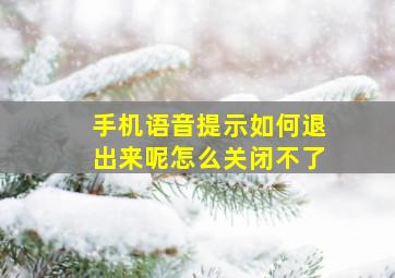 手机语音提示如何退出来呢怎么关闭不了