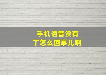 手机语音没有了怎么回事儿啊