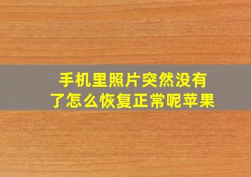 手机里照片突然没有了怎么恢复正常呢苹果