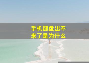 手机键盘出不来了是为什么