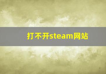 打不开steam网站