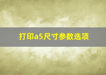 打印a5尺寸参数选项