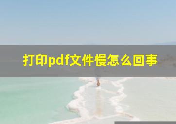 打印pdf文件慢怎么回事