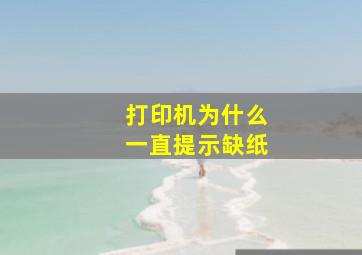 打印机为什么一直提示缺纸